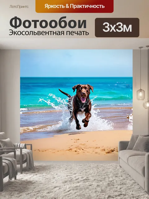 Фотообои лабрадор, бегущий по пляжу, обрушивая брызги воды под своими лапами