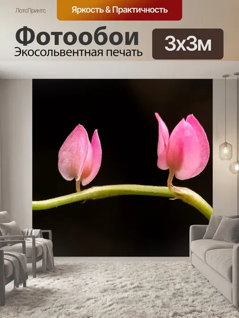 Фотообои Макрос