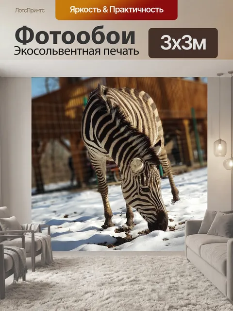 Фотообои Зебра