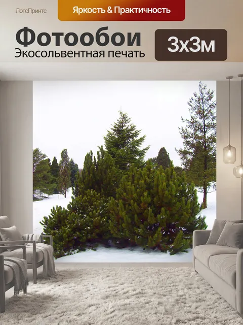 Фотообои Вечнозеленые деревья и кустарники в снег