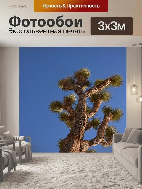 Фотообои Joshua Tree Крупным планом