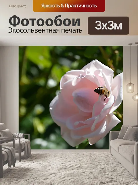 Фотообои Розовый