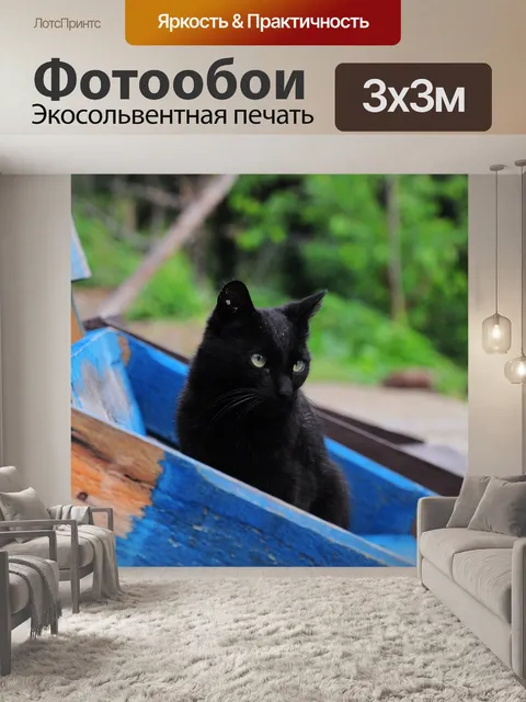 Фотообои Кошка