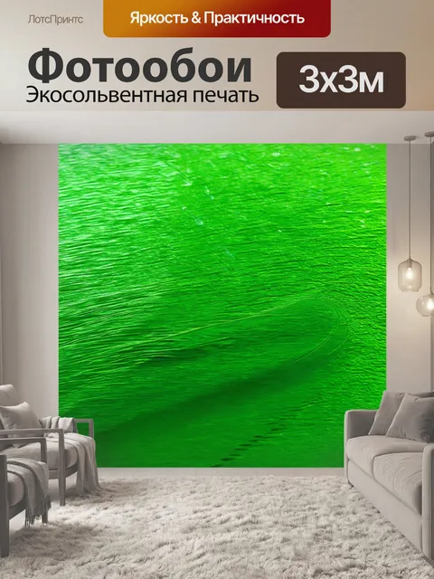 Фотообои зеленые в стиле японская тушь с тонкими линиями, обрисовывающими плавные формы воды