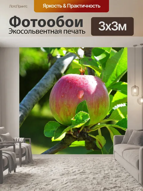 Фотообои Apple