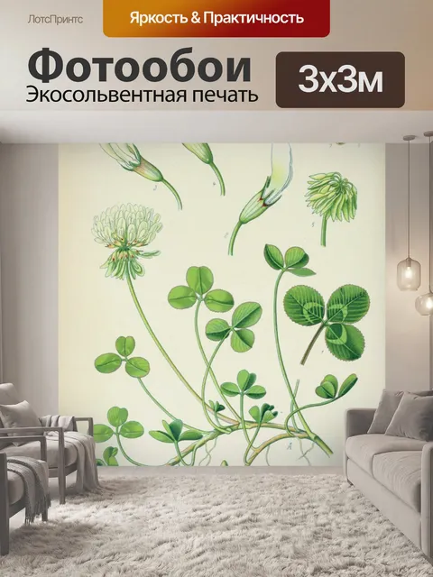 Фотообои Клевер полевой цветок иллюстрация старый