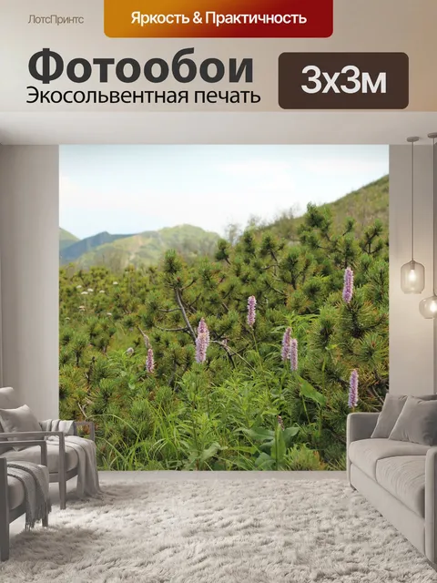 Фотообои Природа