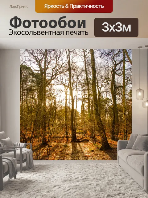 Фотообои Лес