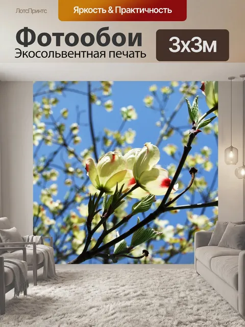 Фотообои Расцветает