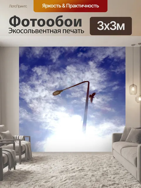 Фотообои Птица взлетает