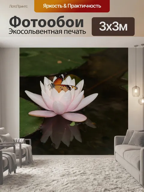Фотообои Бабочка