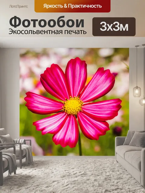 Фотообои Цветочные изображения фона