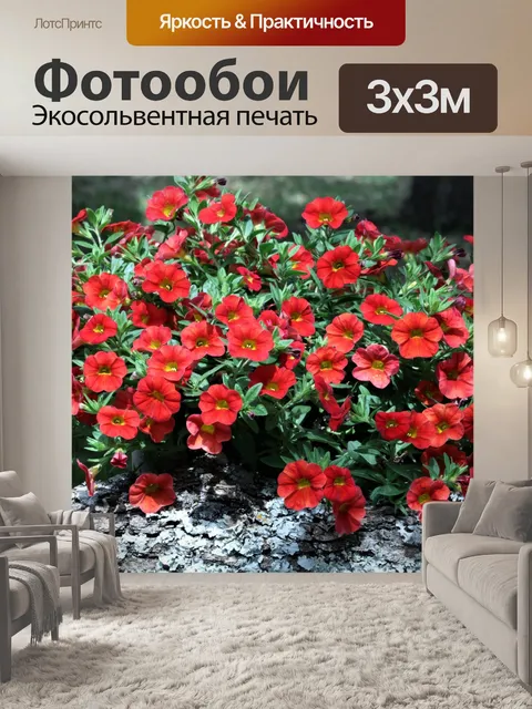 Фотообои Красный мини-петунии