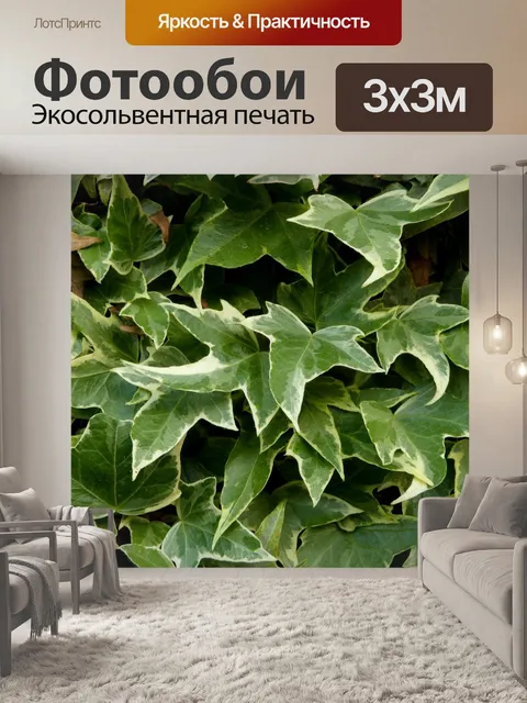 Фотообои Плющ
