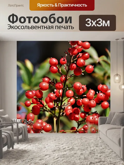 Фотообои Ягоды нанды крупным планом