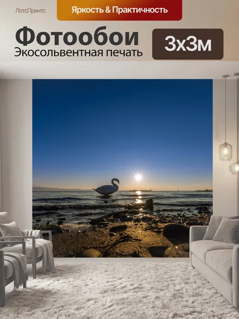 Фотообои Лебедь