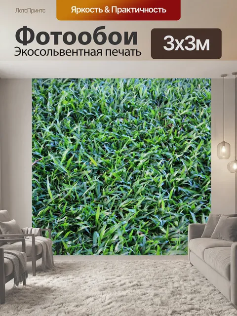 Фотообои Зеленый фон травы