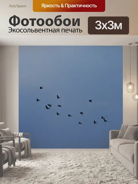 Фотообои стекаются на крыло