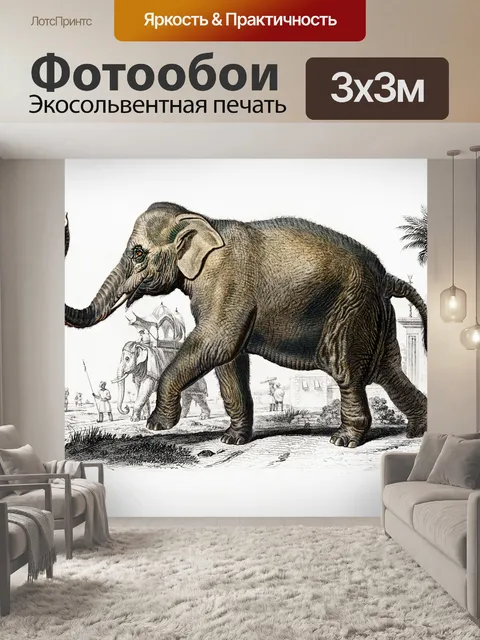 Фотообои Слон Индии священный винтаж