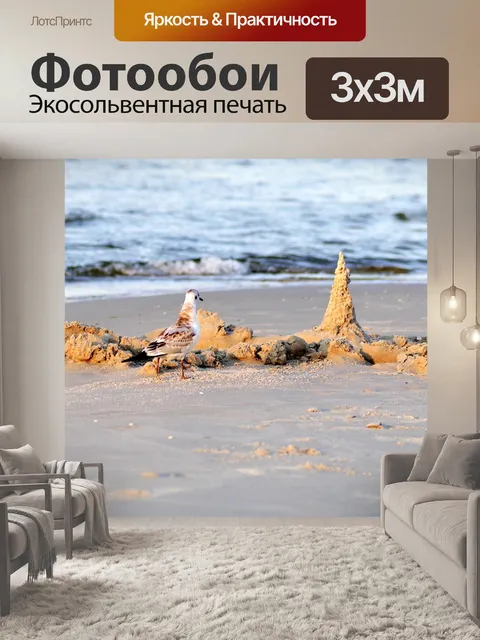 Фотообои Чайка