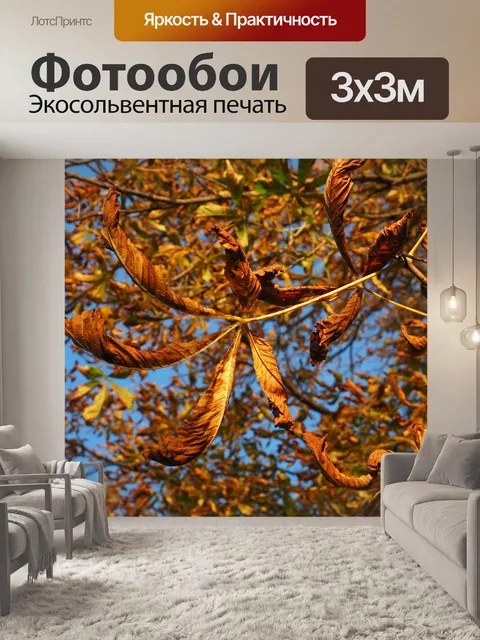 Фотообои Лист