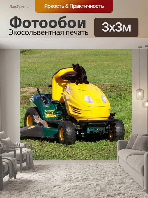 Фотообои 3 котенка