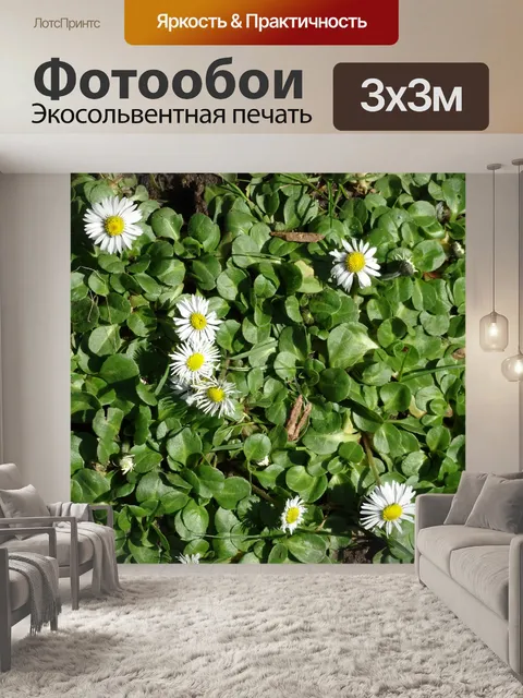 Фотообои белые цветы