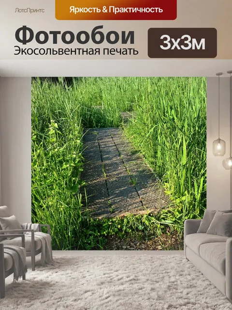Фотообои Совет ходьбы