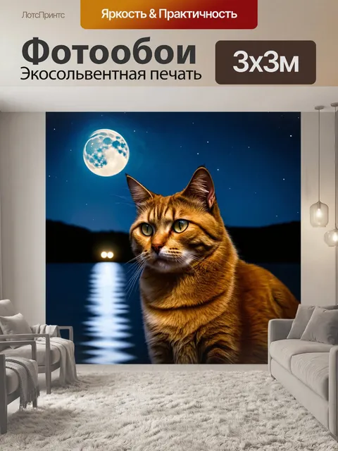 Фотообои кот, пристально смотрящий на лунный свет, отражающийся в озере