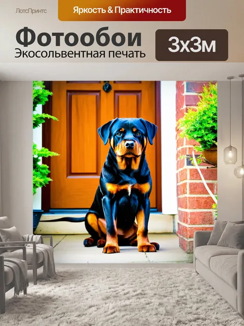 Фотообои ротвейлер, обеспечивающий безопасность дома, сидящий у двери с настороженным взглядом