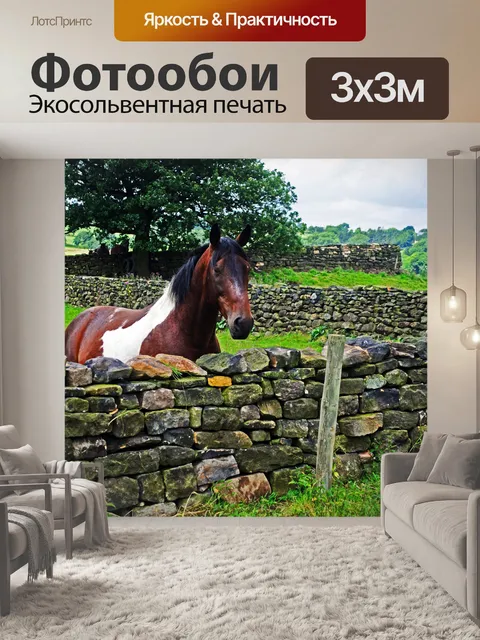 Фотообои Северный Йоркшир