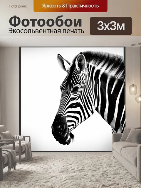 Фотообои зебра, сфотографированная в черно-белом тоне, ее полосы обрамлены светом и тенью среди дикой природы