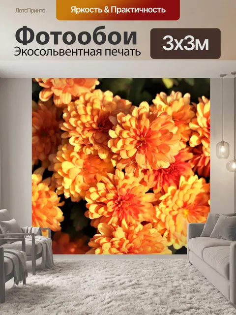 Фотообои Оранжевые хризантемы 3