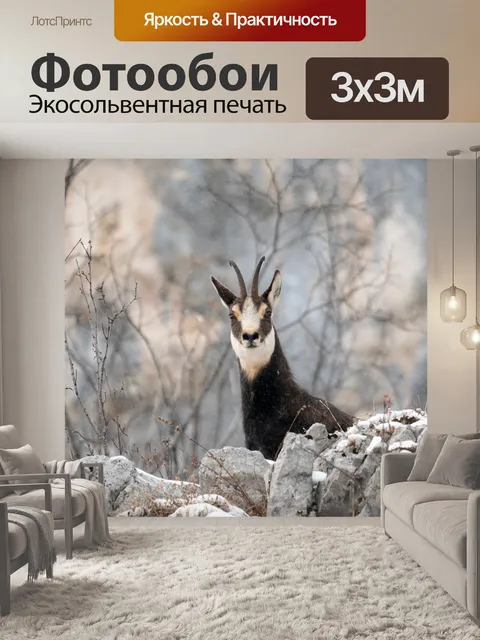 Фотообои Замша