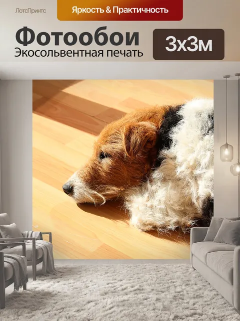 Фотообои Собака