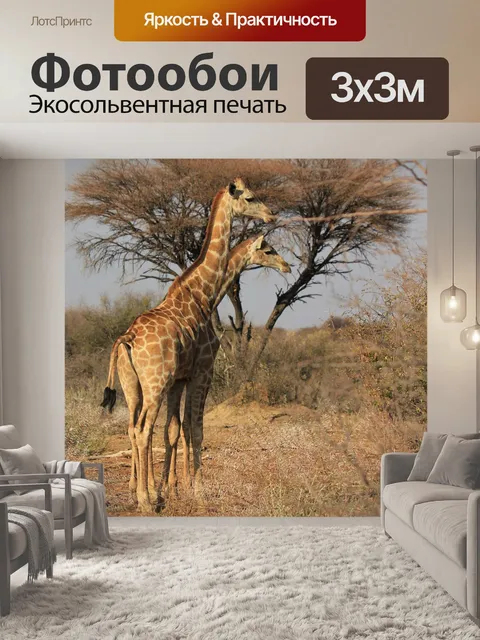 Фотообои Африке