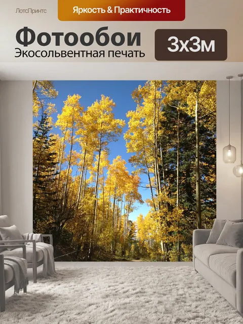 Фотообои Осина