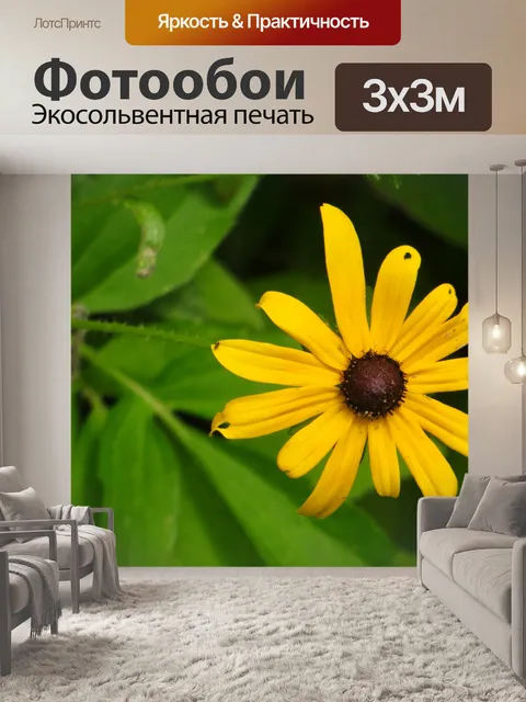 Фотообои Черный глаз Сьюзан