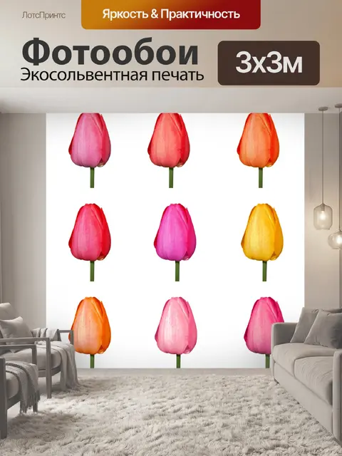 Фотообои Тюльпан изолированных 2