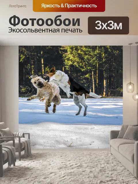 Фотообои Собаки