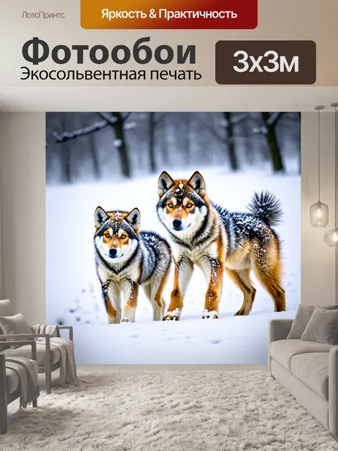 Фотообои волчата, играющие в снегу зимой