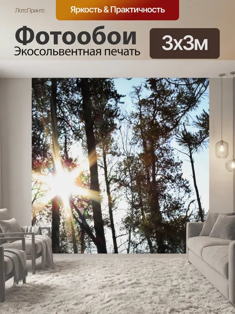 Фотообои Солнце сквозь деревья