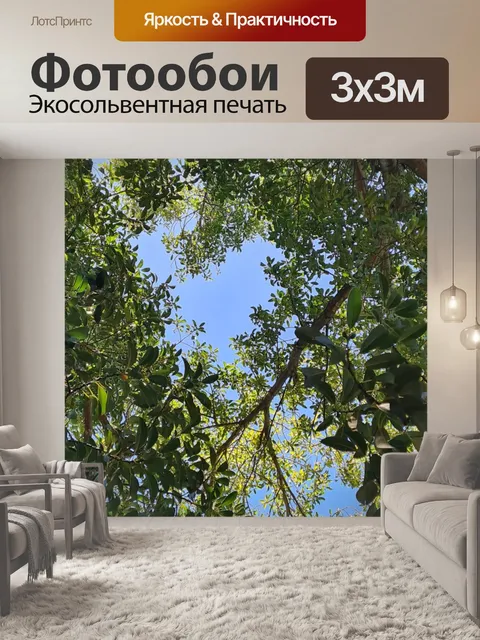 Фотообои Верхушки деревьев