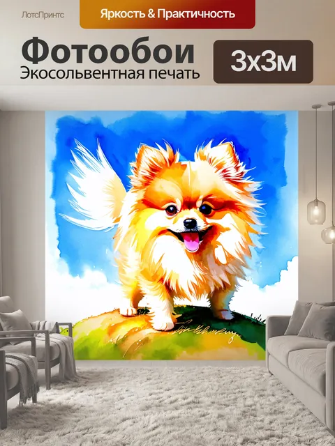 Фотообои забавный щенок померанского шпица