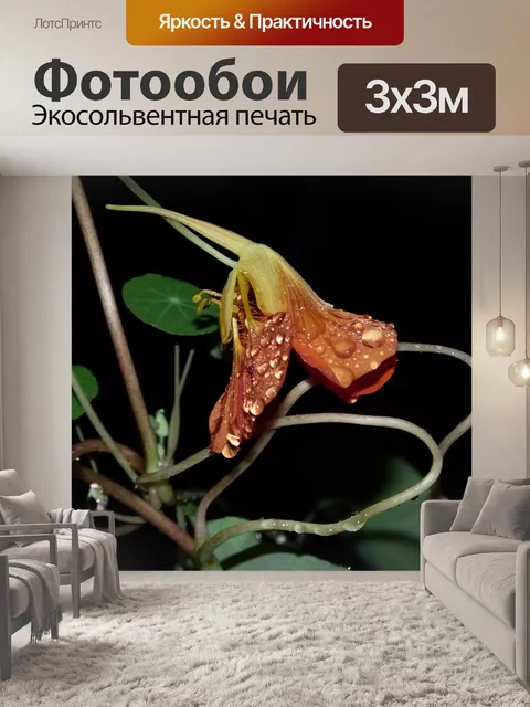 Фотообои Настурция