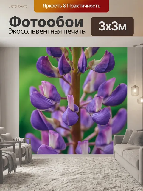 Фотообои Люпин крупным планом