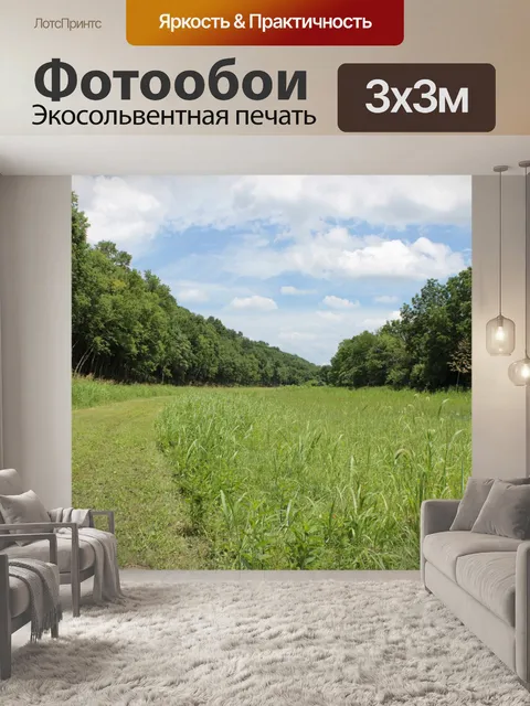 Фотообои Путь