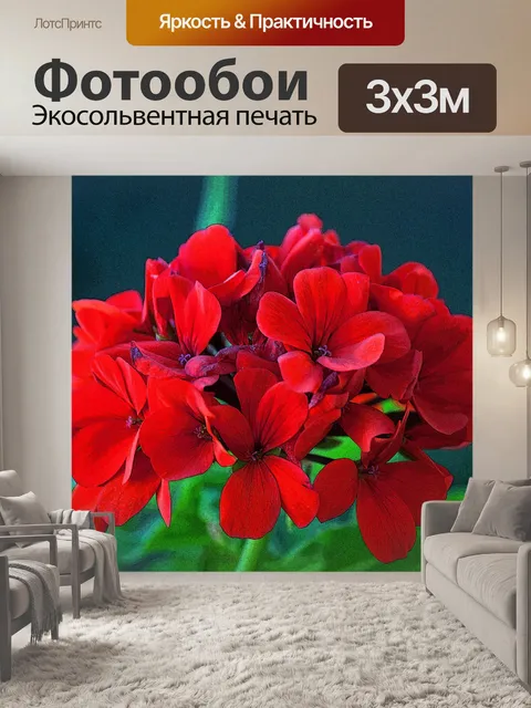 Фотообои Красная герань с краями плаката