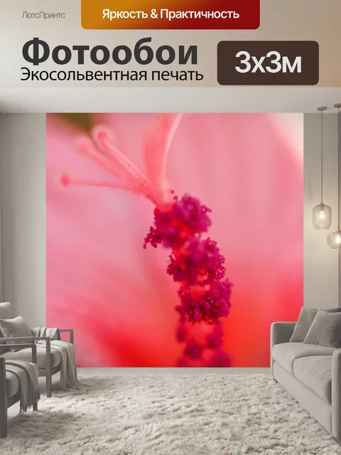 Фотообои Цветочные изображения фона