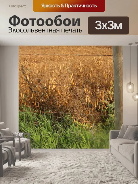 Фотообои Ферма Золотой Peas Растениеводство